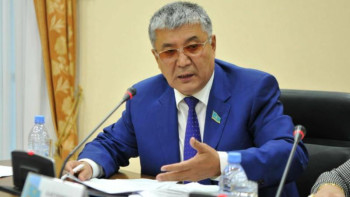 Фотография к новости: Жүйедегі кемшіліктер қоғамның қатаң сынына ұшырады - сенатор 