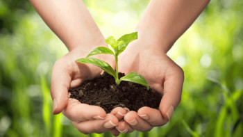 Фотография к новости: Министрлік мектептерде және ЖОО-да экологиялық тәрбиені арттыруға атсалысады – Балаева