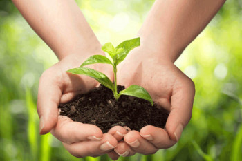 Фотография к новости: Министрлік мектептерде және ЖОО-да экологиялық тәрбиені арттыруға атсалысады – Балаева