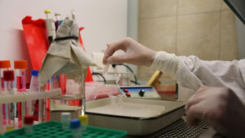 Фотография к новости: Қазанда ПТР-тест көлемін тәулігіне 60 мыңға жеткізу жоспарланып отыр 