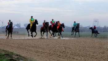 Фотография к новости: Ғани Ахметбаев: Шымкентке жаңа ипподром керек