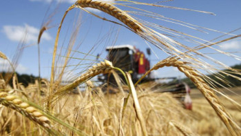 Фотография к новости: Астық экспортын арттырмай, бәсекеге қабілетті экономика құру мүмкін емес