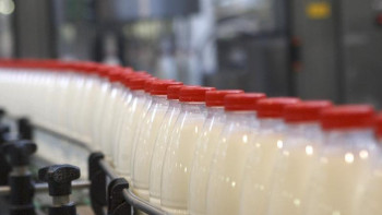 Фотография к новости: ШҚО-дағы шағын шаруашылық сауылатын сүт көлемін 7 мың литрге жеткізбек