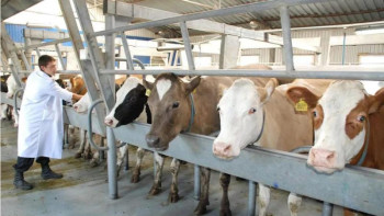 Фотография к новости: Шаруашылығын ғылыммен ұштастырған шығысқазақстандық шаруа тәжірибесімен бөлісті