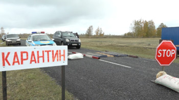 Фотография к новости: Құс тұмауынан өлген әрбір құсқа 6,5 мың теңге төленеді