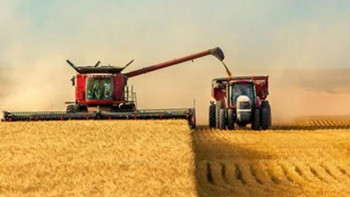 Фотография к новости: Бір ай ерте жиналған егін науқанының нәтижесі қалай болды 