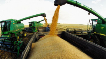 Фотография к новости: Павлодар облысында 800 мың тоннадан астам астық жиналды