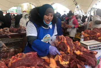 Фотография к новости: Жәрмеңке. Елордаға солтүстік өңірлер қандай өнім әкелді? 