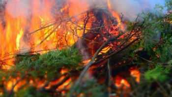 Фотография к новости: Қазақстанда орман және дала өрттерінің саны артқан 