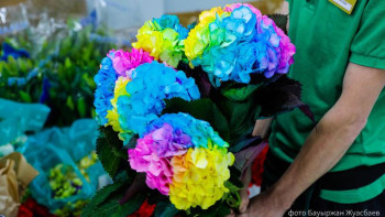 Фотография к новости: Профессионалдар. Флорист 