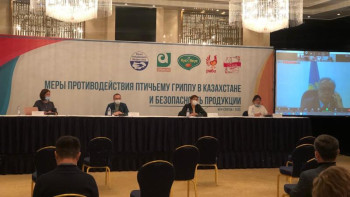 Фотография к новости: Құс фабрикалары қауіпсіздік шараларын күшейтті 