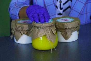 Фотография к новости: Глубокое ауданында тұратын көпбалалы ана ерекше кәсіп бастады