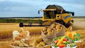 Фотография к новости: Қарағанды облысының ауылшаруашылық саласында ілгерілеу бар – басқарма басшысы