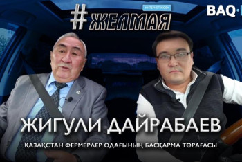 Фотография к новости: #Желмая. Ауыл шаруашылығында қандай кемшіліктер бар?