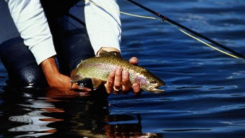 Фотография к новости: ШҚО. Қос шаруашылық экспорт көлемін ұлғайтуды жоспарлауда