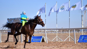 Фотография к новости: «Елбасы кубогы» Бекболат Тілеуханның жүйрігіне бұйырды
