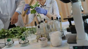 Фотография к новости: Павлодар облысында циклахенамен күреске 5 млн теңге жұмсалған