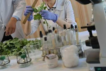 Фотография к новости: Павлодар облысында циклахенамен күреске 5 млн теңге жұмсалған