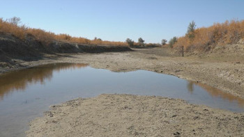 Фотография к новости: Өзендердің тартылуына адами фактордың әсері жоқ