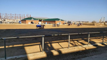 Фотография к новости: Елорда іргесіндегі жаңа ипподром құрылысы неге тоқтап тұр