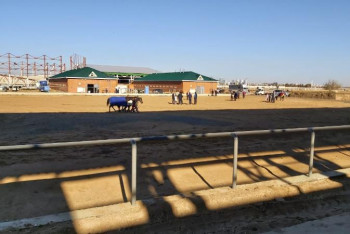 Елорда іргесіндегі жаңа ипподром құрылысы неге тоқтап тұр