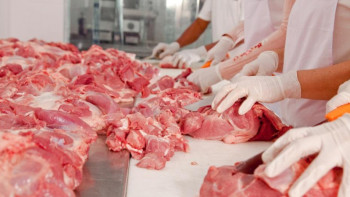 Фотография к новости: Сұлтанов қазақстандықтардың Қытайға ет сату жөніндегі наразылығына жауап берді