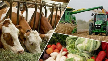 Фотография к новости: Ауыл шаруашылығын дамытуға арналған ТОП-10 өзекті ұсыныс 