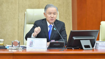 Фотография к новости: Экологиялық кодексті тауық пен сиырды ажырата алмайтын адам жазған - Нығматулин 