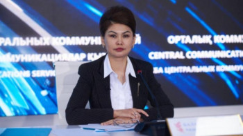 Фотография к новости: Мемлекеттік органдарда ақпаратқа жауапты адам белгіленеді - Балаева 