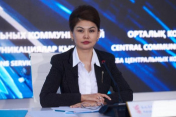 Фотография к новости: Мемлекеттік органдарда ақпаратқа жауапты адам белгіленеді - Балаева 