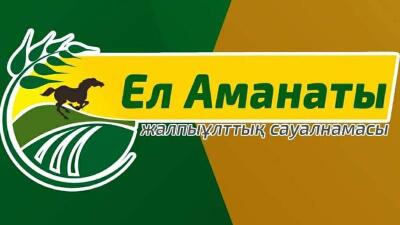 «Ел аманаты» қалай жүзеге асырылды?