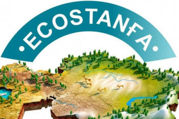 Фотография к новости: Елордалық оқушылар экологиялық байқауда бірінші орын алды