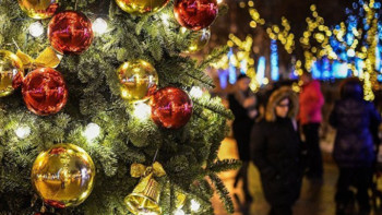 Фотография к новости: Көлгінов Тәуелсіздік күнінен кейін бұрынғы шыршалар безендірілетінін айтты