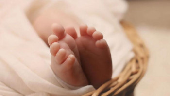 Фотография к новости: Қазақстанда ЭКО жасату арзан