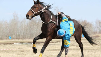 Фотография к новости: Ұлттық спорт түрлері мектеп бағдарламасына енгізіледі 