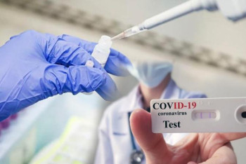 Фотография к новости: Енді өңірлерге шығарда ПТР-тест сұралмайды