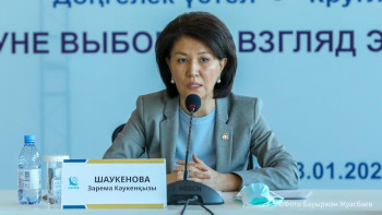 Фотография к новости: Қазір Қазақстанда саяси трансформация жүріп жатыр – Шаукенова  