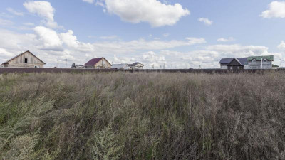 Атырау облысында пайдаланылмаған 274 мың гектар жер қайтарылды
