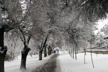 Қар басқан Алматы