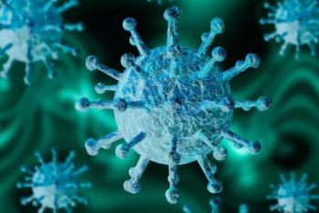 Фотография к новости: Коронавирус кей адамдарда үрей туғызуда – психотерапевт 