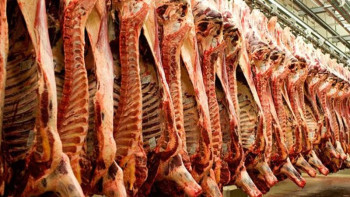 Фотография к новости: Еліміздегі ет өндірісі 