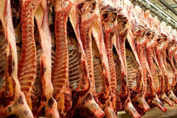 Фотография к новости: Еліміздегі ет өндірісі 