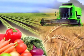 Фотография к новости: Агро﻿﻿өнеркәсіптің жетістіктері қандай?