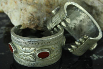 Фотография к новости: Жаһандану заманында жұтылмау үшін ұлттық құндылықты насихаттау керек – Баһаргүл Төлегенқызы