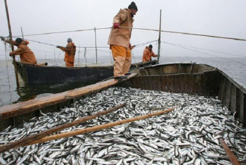 Фотография к новости: Каспийдегі балық аулау аймағы ұлғайтылатын болды