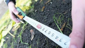 Фотография к новости: Алматыдағы Аграрлық университеттің аумағы сатылып кеткен бе?