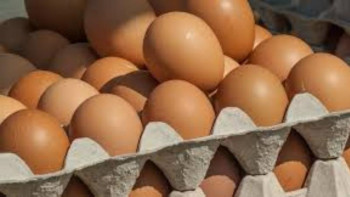 Фотография к новости: Сенатор қымбатшылыққа қатысты наразылығын білдірді 