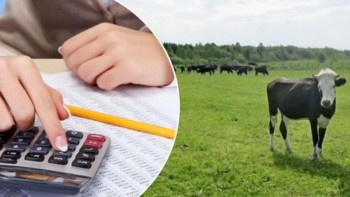 Фотография к новости: Ауылшаруашылық өнімдерін өндіретін 7 ірі экожүйе құрылады 