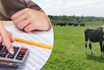 Фотография к новости: Ауылшаруашылық өнімдерін өндіретін 7 ірі экожүйе құрылады 