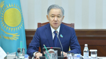 Фотография к новости: Елбасы мен Президент «Б» жоспары болуы керек екенін айтады. Нығматулин неге алаңдаулы?